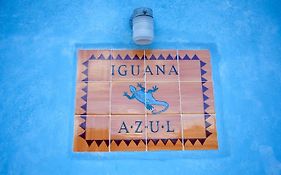 Hostel Iguana Azul